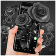 Black Rose APUS Launcher Theme APK icon