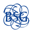 BSG Connect Plus APK icon