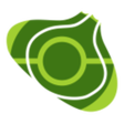 Bulbapedia - Pokémon Wiki APK icon