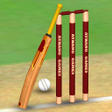 Cricket World Domination APK icon