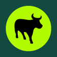 FLASH Business icon