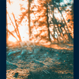 HD Background Photo Editing APK icon