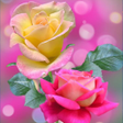 Rose Wallpaper : Flowers APK icon