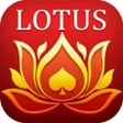 Teen Patti Lotus APK icon