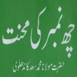 6 Number Ki Mehnat icon