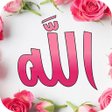 Allah Name Live Wallpapers APK icon