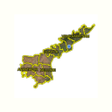 Andhra Pradesh Land Survey Num APK icon