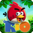 Angry Birds Rio APK icon