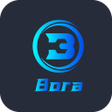 BORA icon