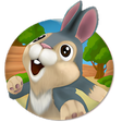 Bunny Run icon