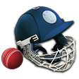 Cricket Captain 2014 icon