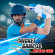 Cricket Game 3D: Bat Ball Game APK icon