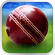 Cricket WorldCup Fever APK icon