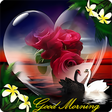 Good Morning Flowers APK icon
