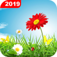 Green Grass Live Wallpaper HD: 4K Background 2019 APK icon