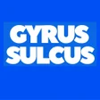 Gyrus Sulcus APK icon