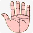 Hasta Rekha Shastra हस्त रेखा शास्त्र APK icon