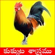 Kukkuta Sastram Telugu icon