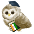 Learn Hindi APK icon