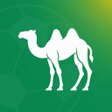 Live Football TV Camel Live APK icon