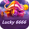 Lucky 6666 APK icon