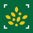 Morrisons Scan Shop APK icon