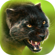 Panther Online APK icon