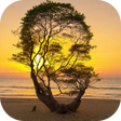 Photo Illusion AI Diffusion AI APK icon