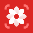 Photo Lite - Photo Editor APK icon