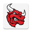 Picasso APK icon
