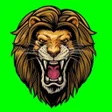 Profit Raaja Satta King APK icon