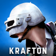 PUBG: NEW STATE APK icon
