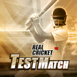 Real Cricket Test Match APK icon