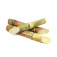 Rohtak Sugar Mill APK icon