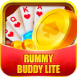 Rummy buddy lite icon