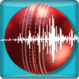 Snickometer : Cricket Prediction Tool APK icon