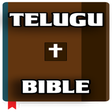 Telugu Bible APK icon