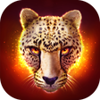The Cheetah APK icon