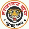 Tiger Group टयगर गरप APK icon