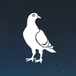 Whicons - White Icon Pack APK icon